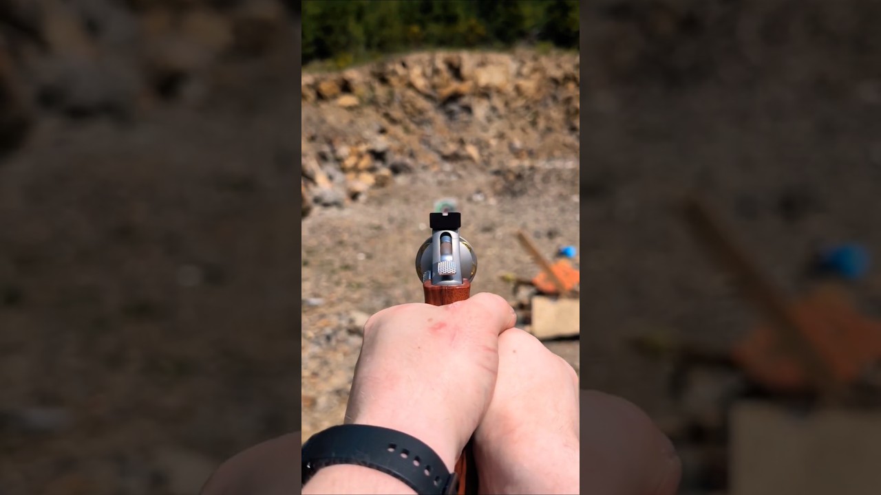 Taurus model 66 .357 magnum w/ wood grips 1st person POV