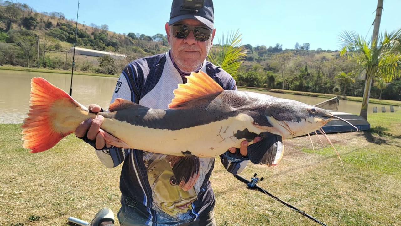 2025  10  09   Pesqueiro Família Marques - Sto. Antônio de Posse - SP