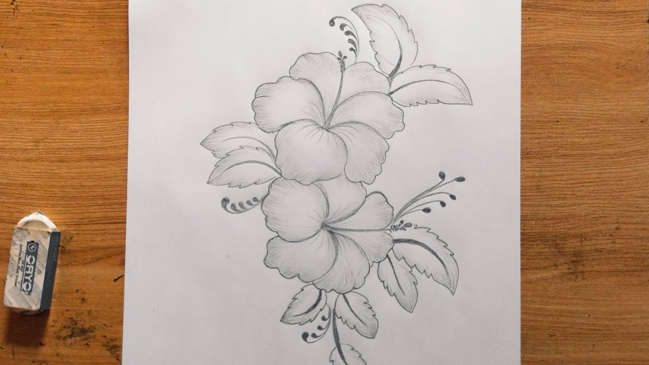Easy Hibiscus Flower Sketch | Beginner Friendly Drawing