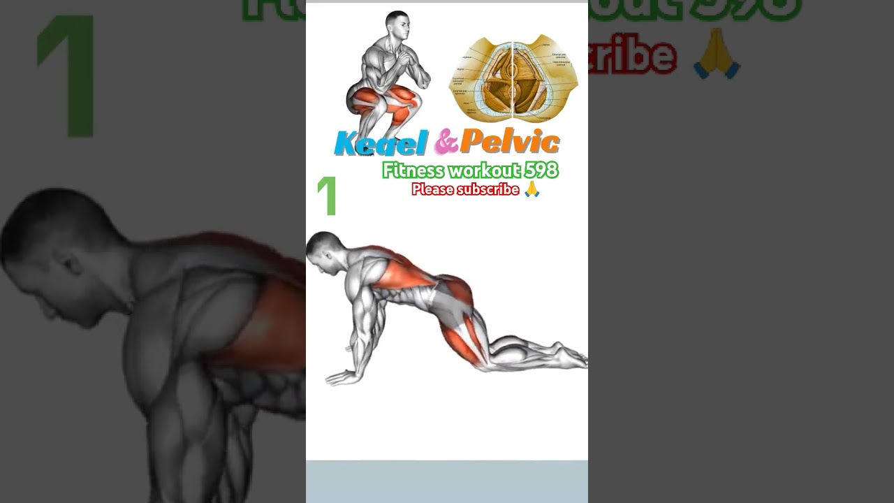 kegel and pelvic best exercise .