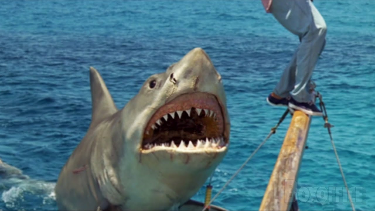 Le chasseur de requin devient la proie | Les Dents de la mer 4 : La Revanche | Extrait VF