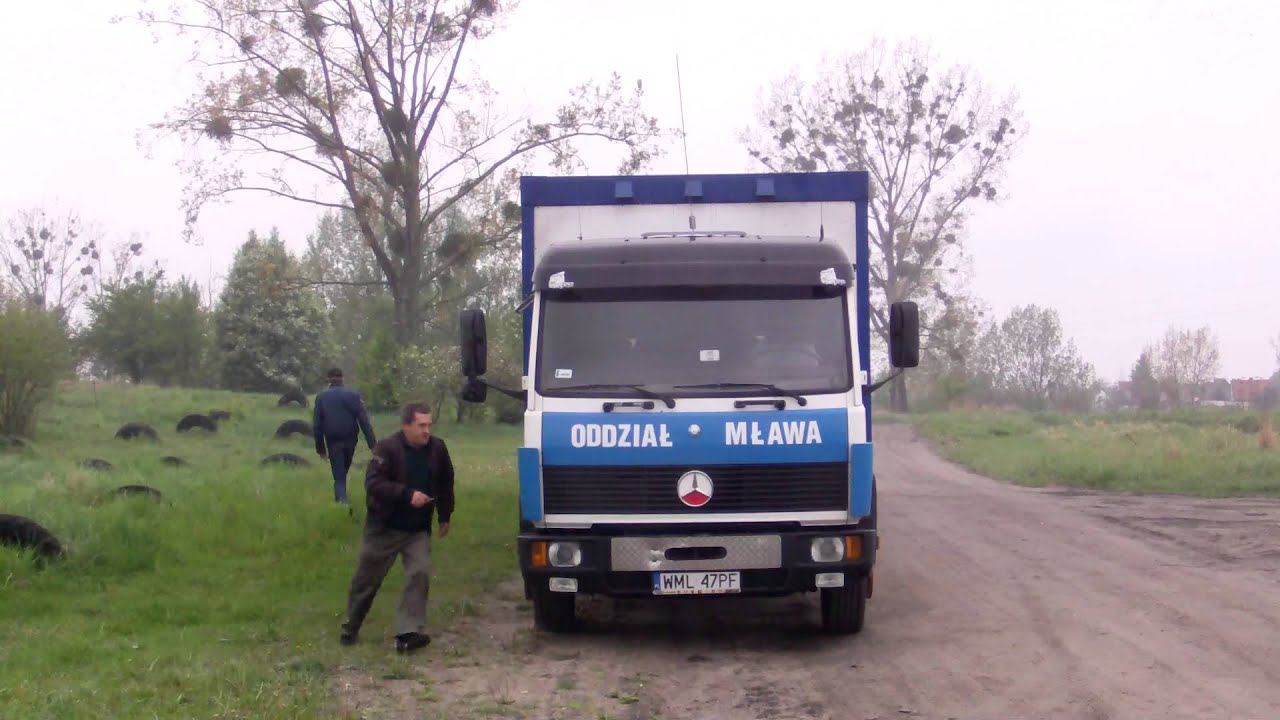 odlot gołębi Chełmno 2014