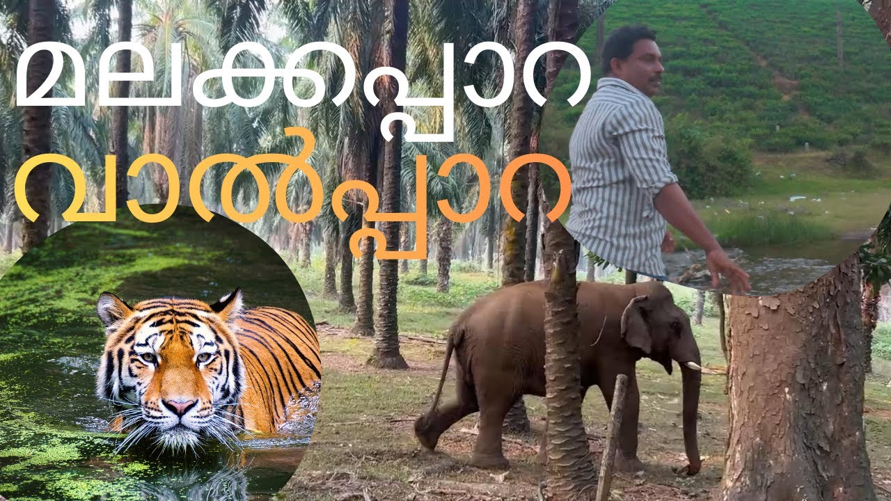 Athirappilly | Malakkappara | Valparai | Forest Route | EP -01 | Travel With Girish