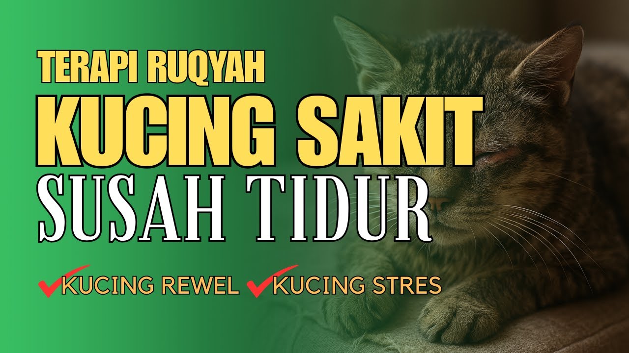 RUQYAH KUCING SAKIT DAN SUSAH TIDUR