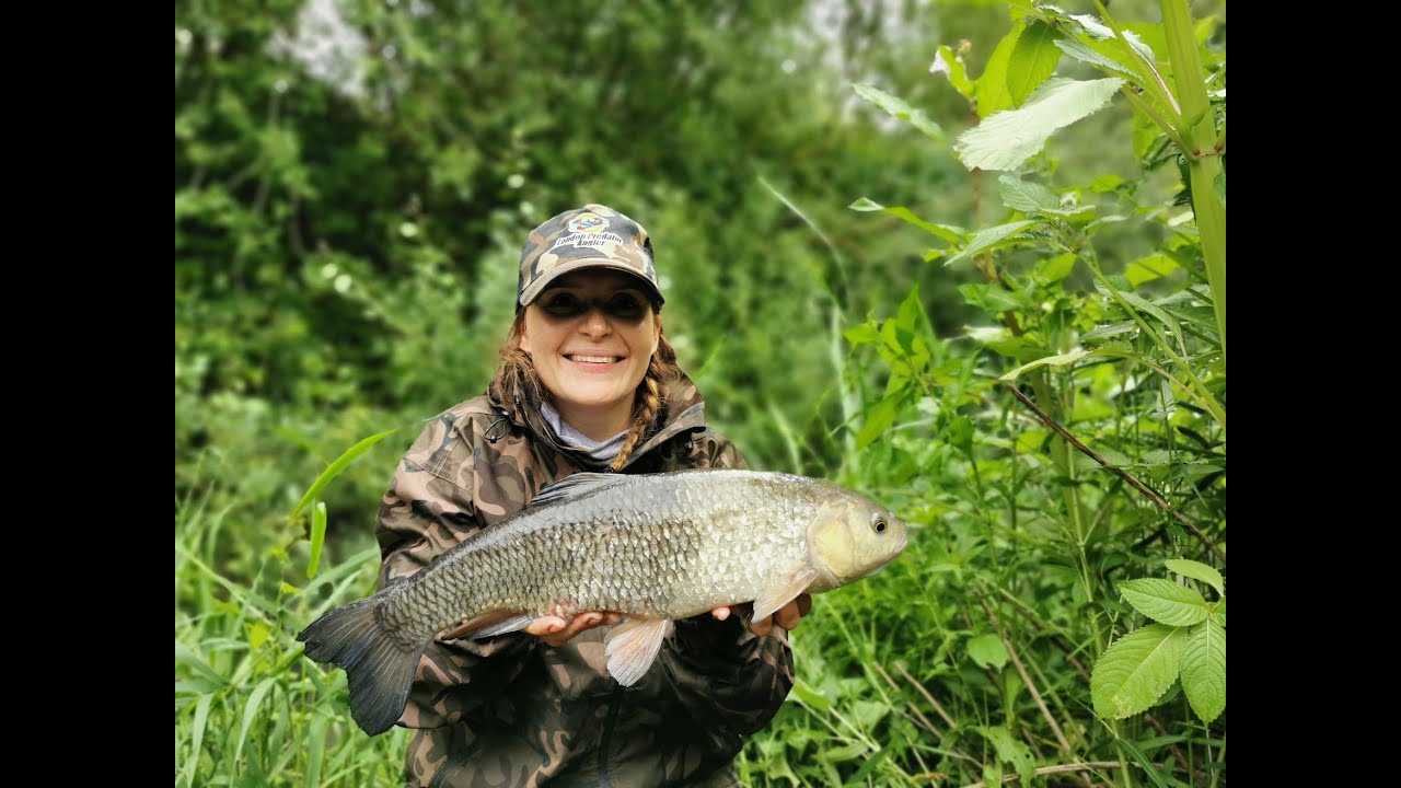 River Chub fishing!!