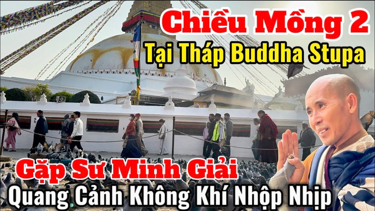 Chiều Mồng 2 Tết Tại Tháp Buddha Stupa Gặp Sư Minh Giải & Không Khí Nơi Này #suminhtue #thienchiukho