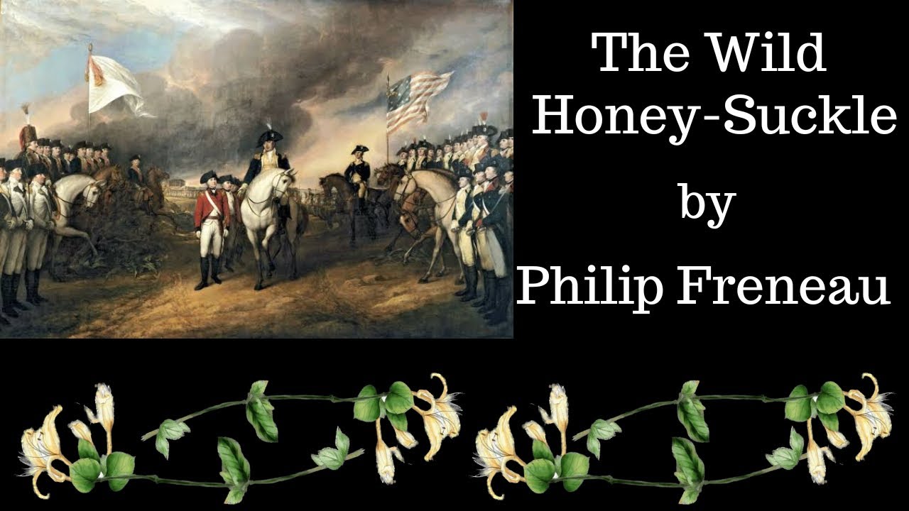 The Wild Honey-Suckle by Philip Freneau explained in Hindi with its themes and concepts| MEG 18 |