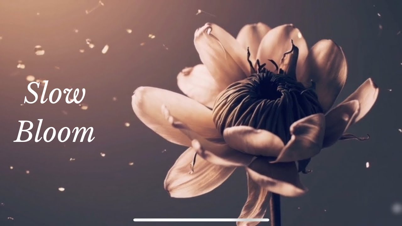 DiamondintheRough - Slow Bloom (R&B)