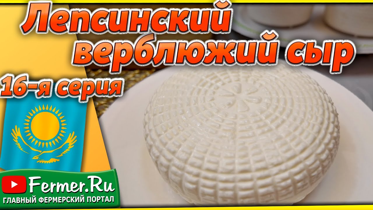 Сыр из верблюжьего молока! Часть 2-я. Зачем контролировать pH? Дегустация верблюжьего сыра.