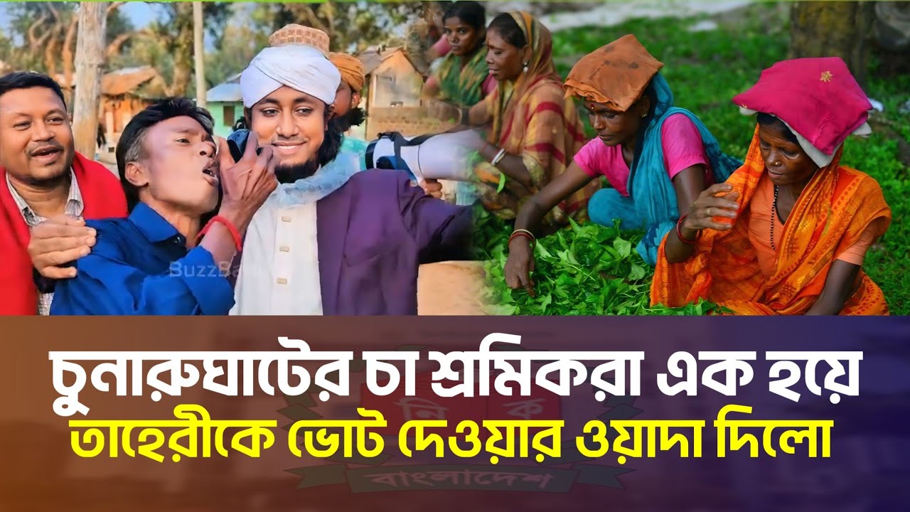 চা বাগানবাসী তাহেরীকে ভোট দেওয়ার ওয়াদা দিলো! | হবিগঞ্জ ৪ | Gias Uddin Taheri Election Update