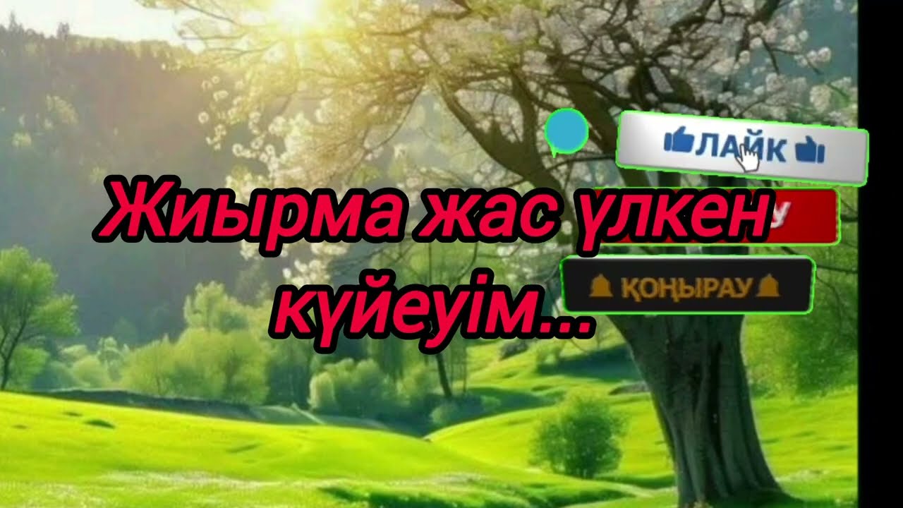 Жиырма жас үлкен күйеуім