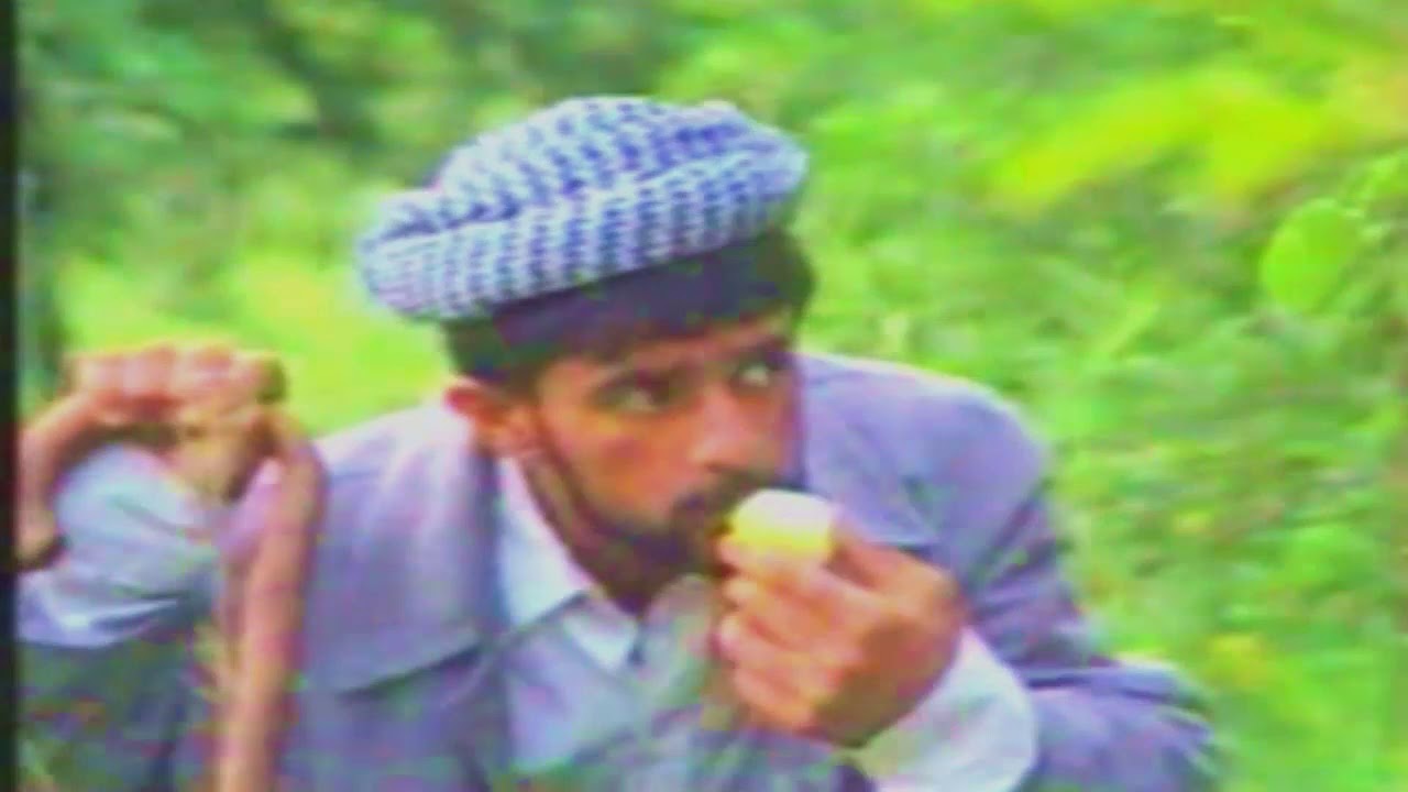 بزاڤا گوندیا خەلەكا 3