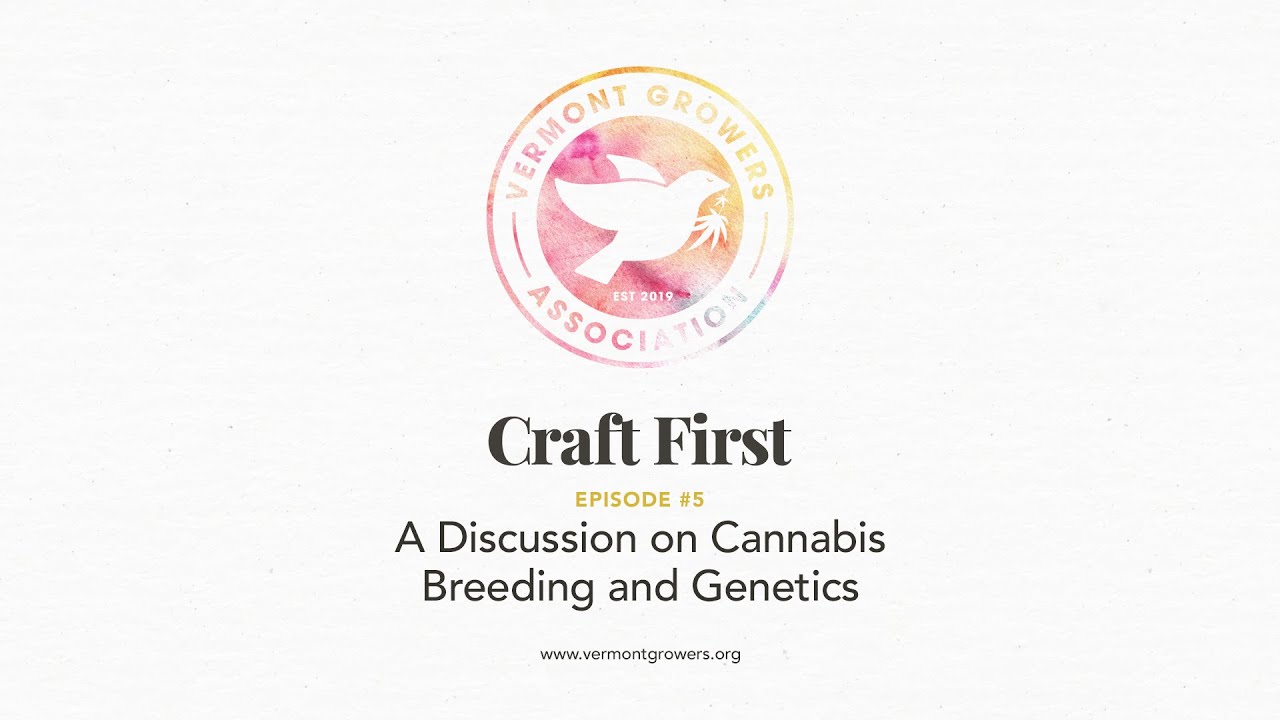 Craft First, Episode 5: A Discussion on Cannabis Breeding and Genetics