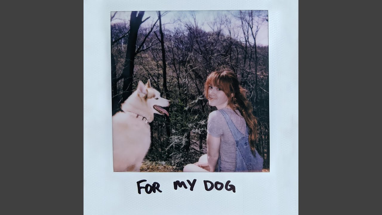 For My Dog