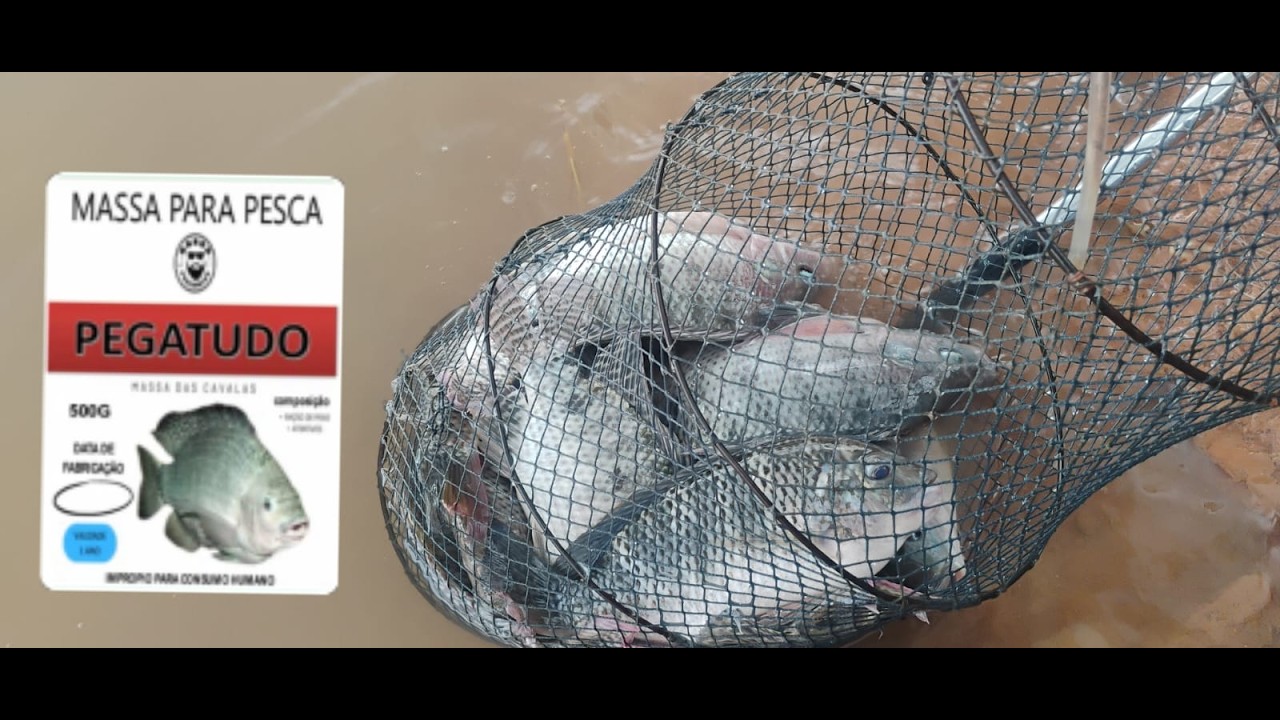 PESCARIA DE TILÁPIA NA REPRESA DE SANTA BRANCA - AMIGOS AGAPE
