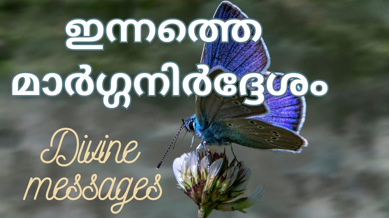 NEW MOON🌄വ്യാഴാഴ്ച MARCH 19 2026 💸Today's Divine Messages🧿#newmoon  🌼 #thursday #2026 #amavasya