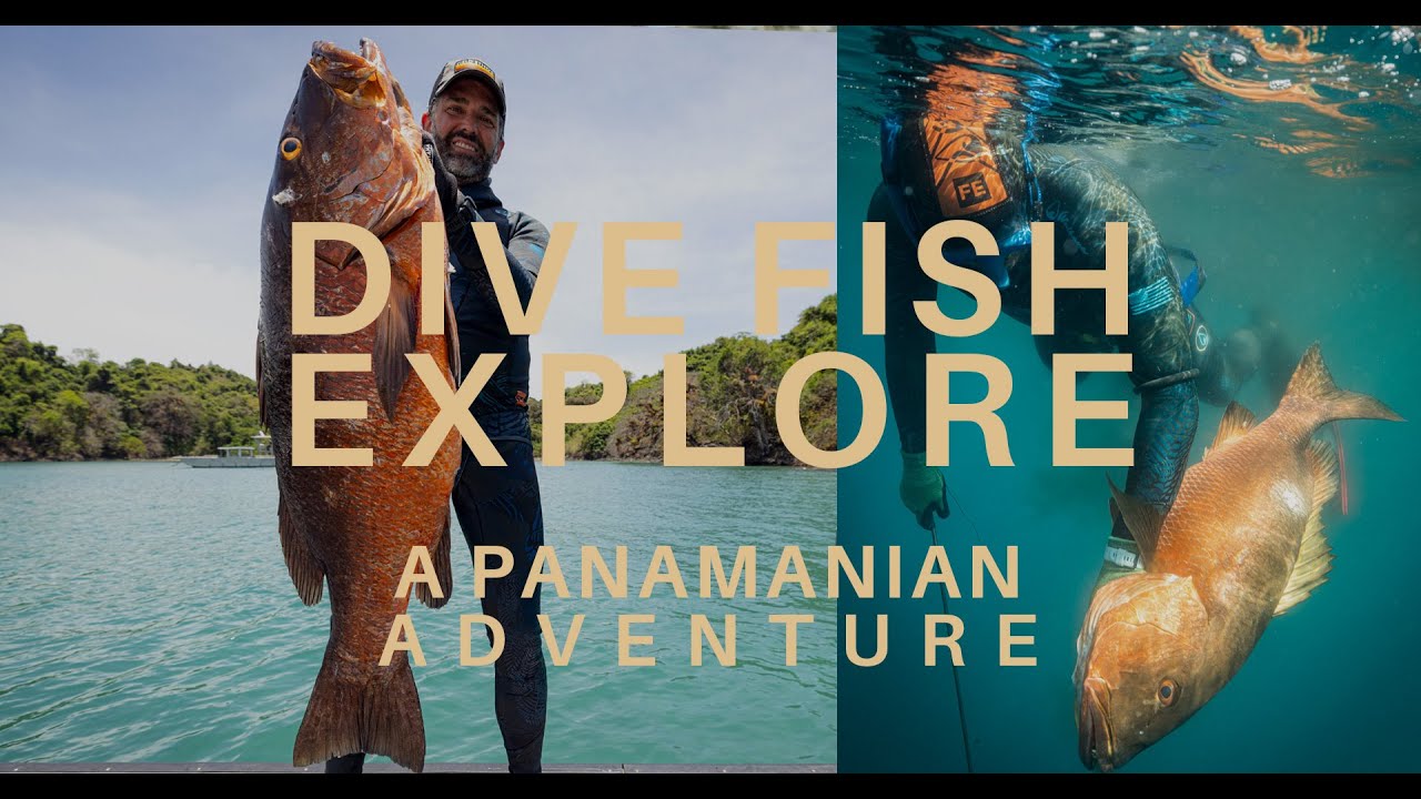Dive Fish Explore | A Panamanian Adventure
