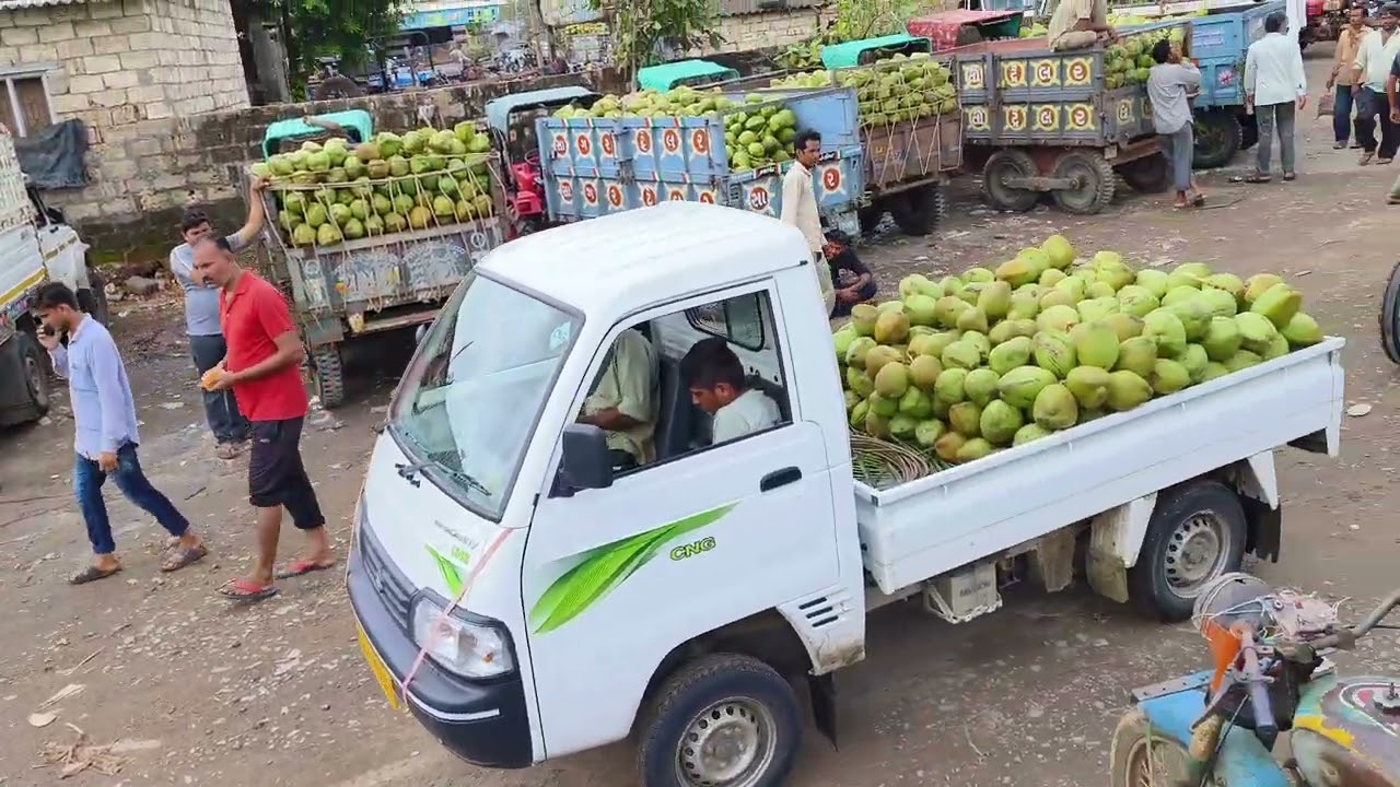 Coconut market gadu