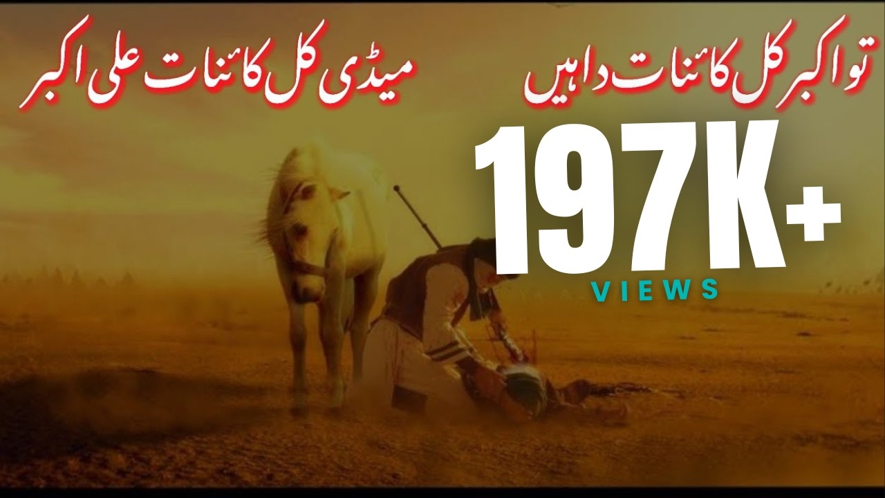 Tu Akbar Kul Qainat da Hain medi kul qainat Ali Akbar Noha 😭😭#aliakber #nohaaliakbar #imamhussain