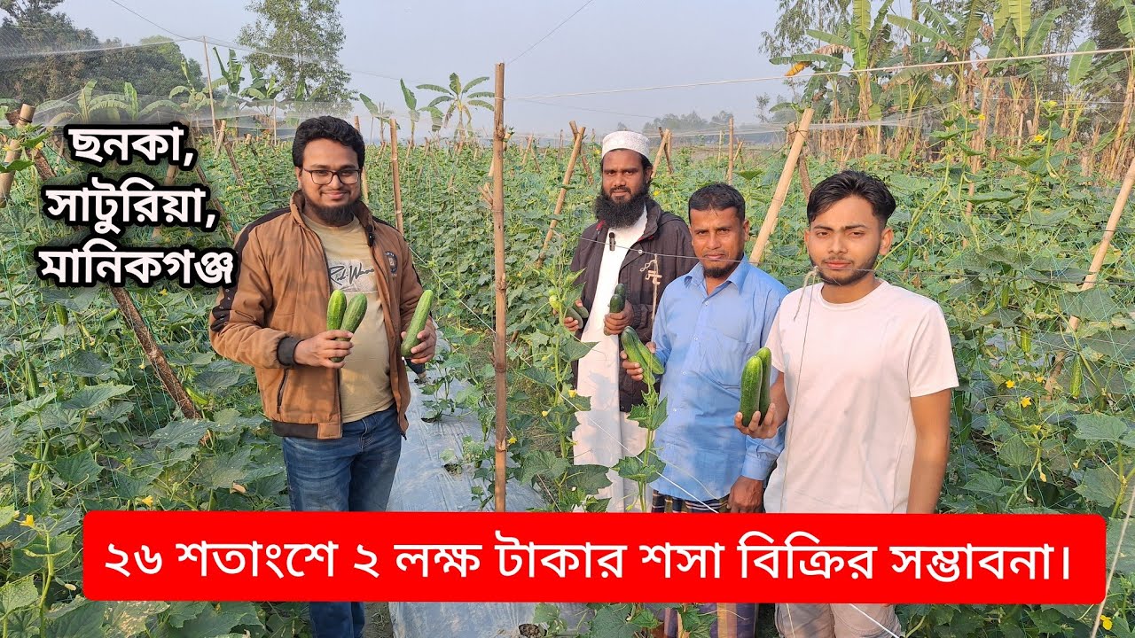 একজন মসজিদের ইমামের শসা চাষের সফলতার গল্প। 