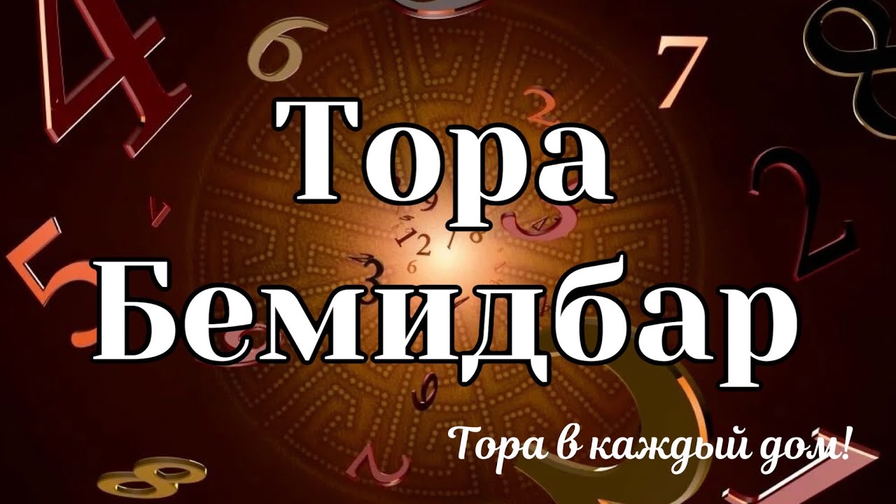 Книга Бемидбар Аудио Тора