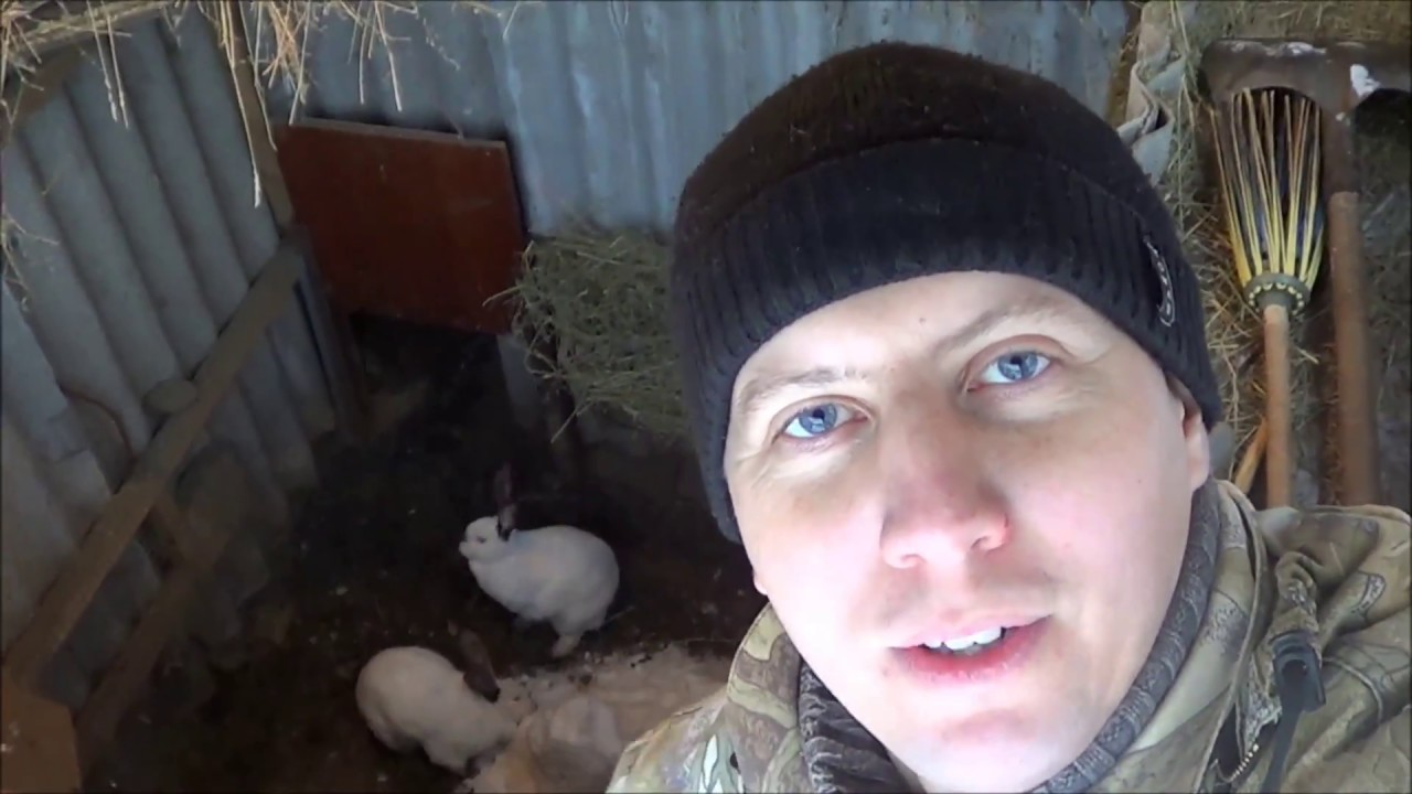 Кролики в яме Иркутск зимнее содержание кроликов в яме часть 30