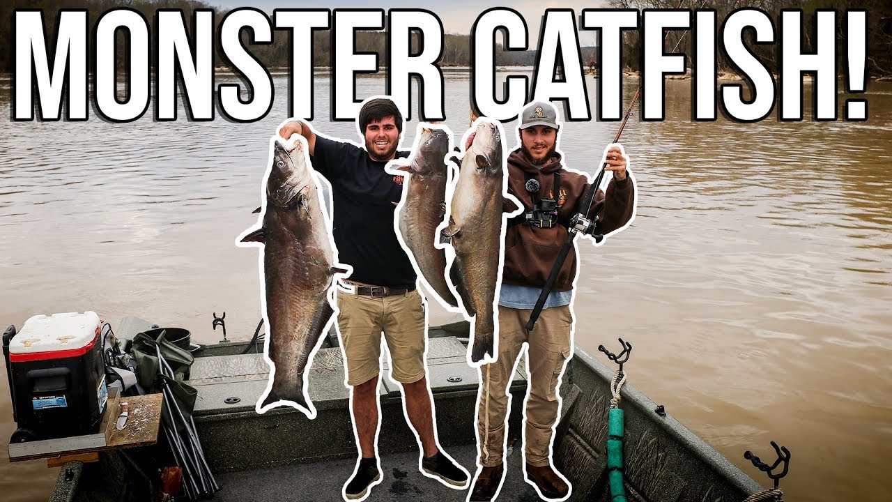 RIVER MONSTER CATFISH! First Cat Fishing trip of the YEAR!