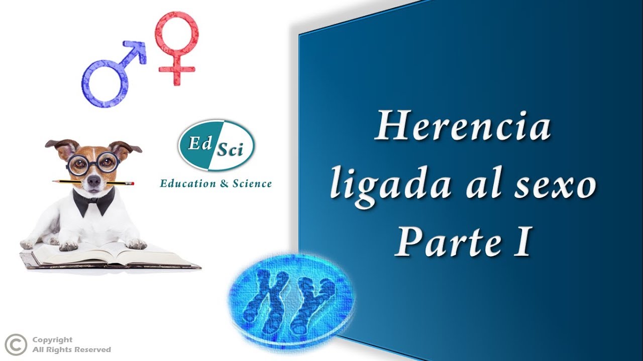 Herencia ligada al sexo 👩🏻🧑🏻 - Parte 1️⃣ (experimentos de Thomas Morgan, cruces recíprocos)