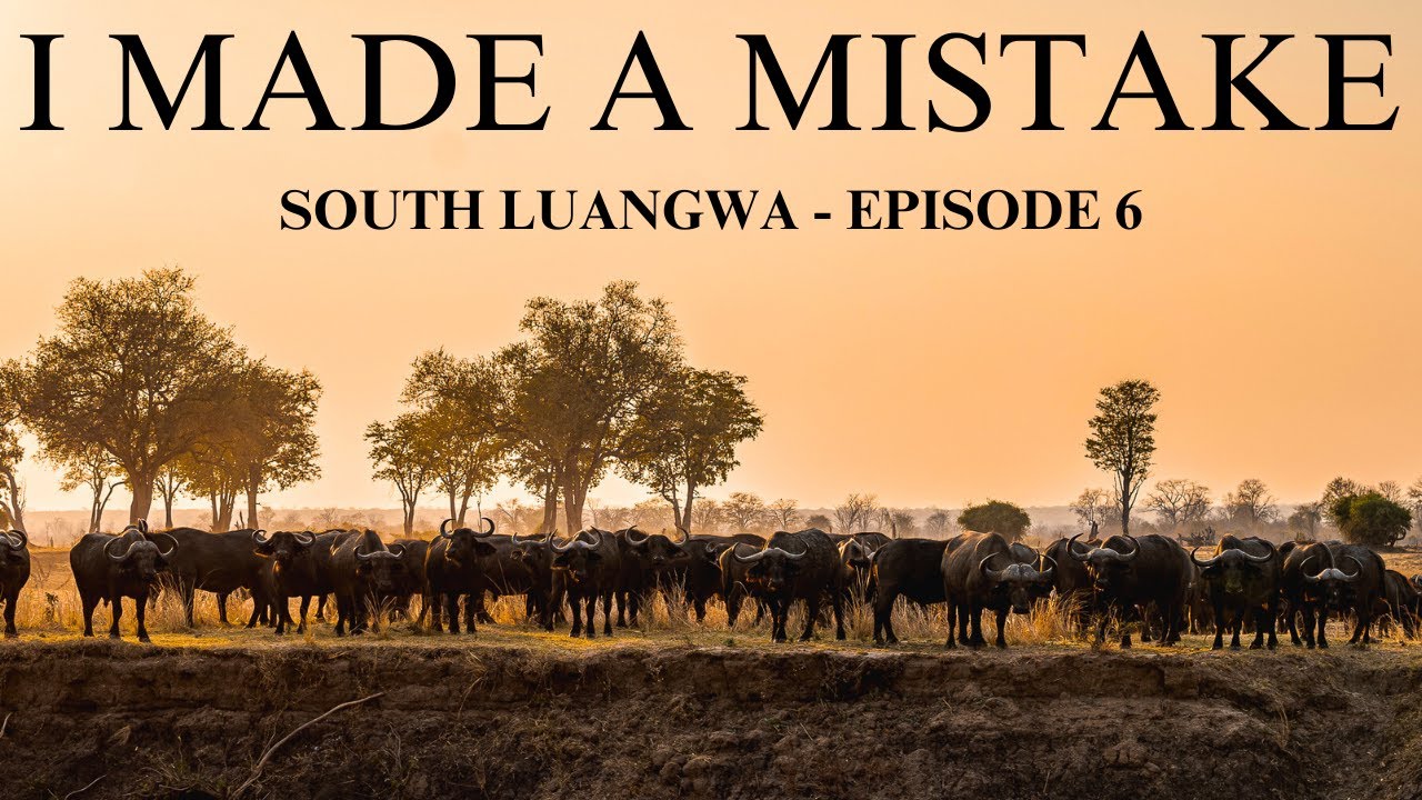 SOUTH LUANGWA National Park SAFARI - Wildlife & Safety