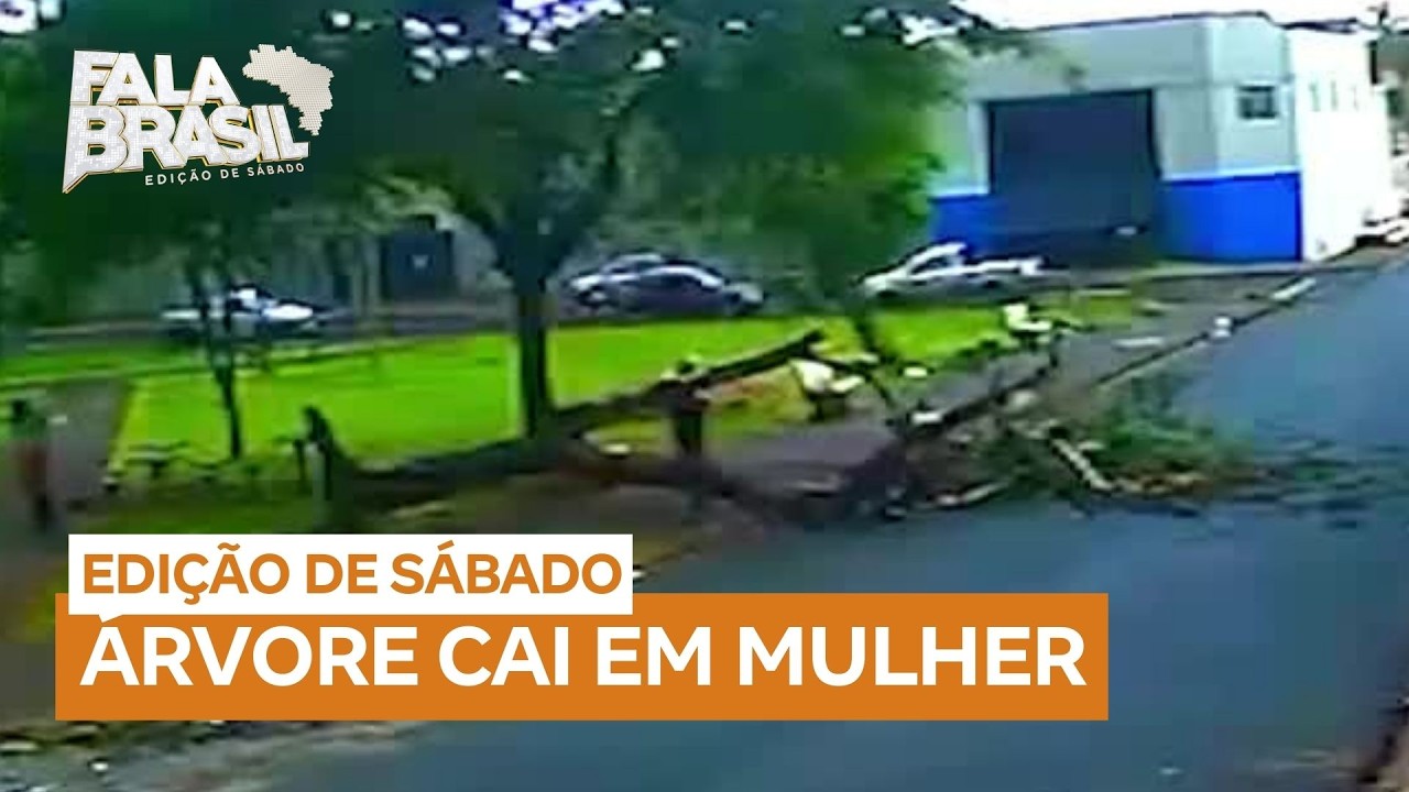 Mulher de 54 anos é atingida por árvore que caiu em calçada de Ribeirão Preto (SP)