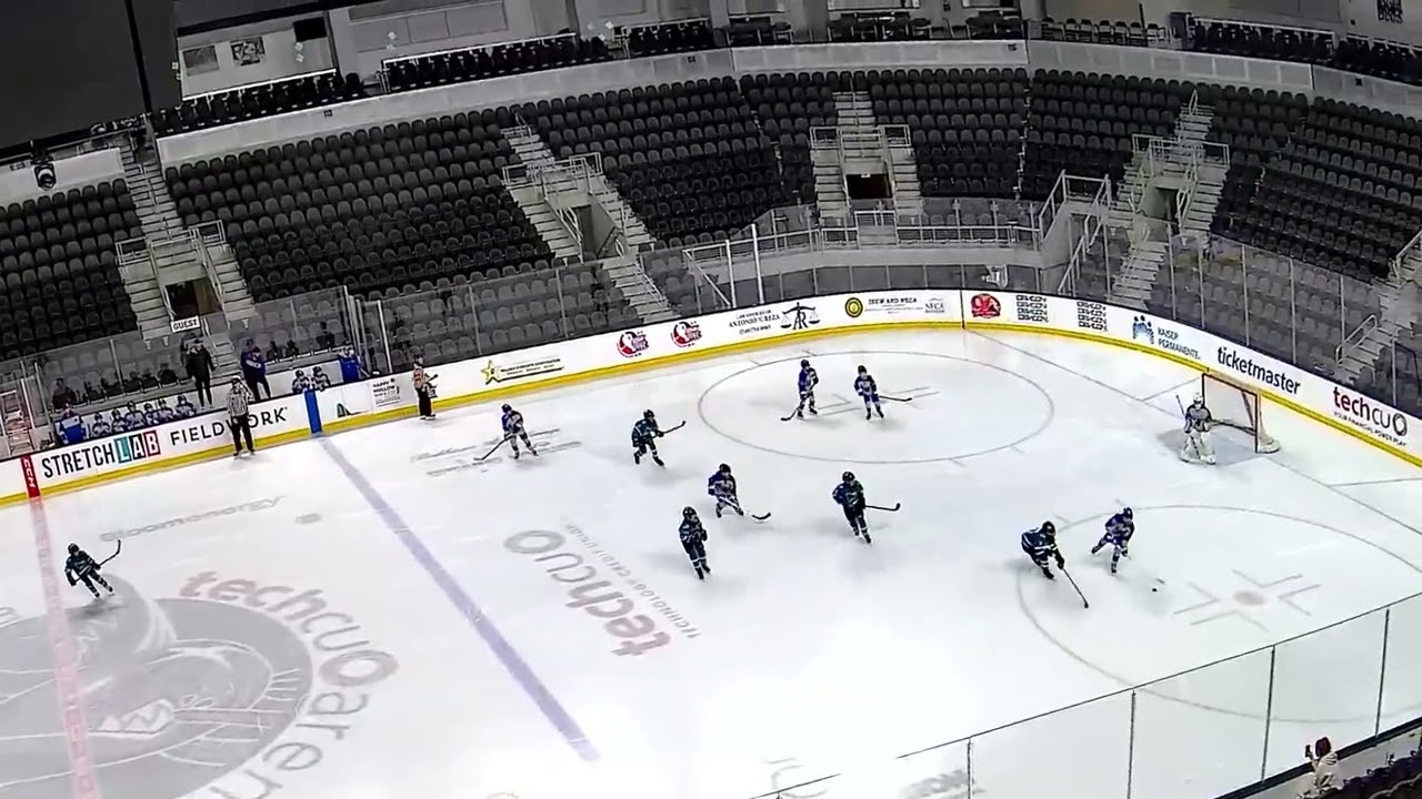 Playoff vs Sharks 10UA 1 3 14 2026