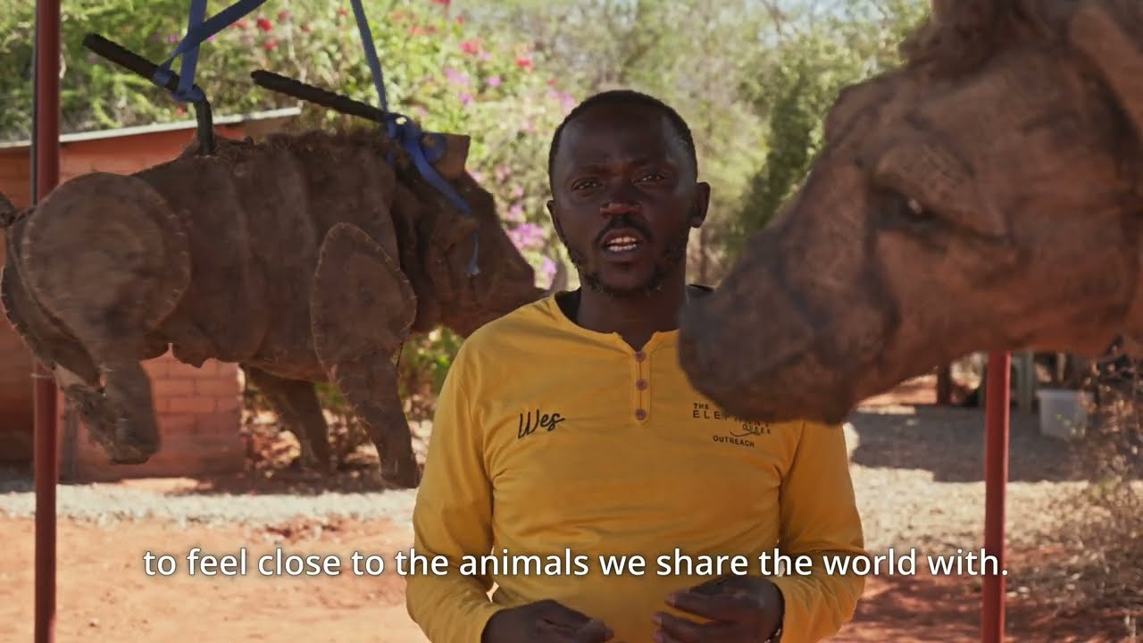 Expanded Role of Puppetry in our outreach program