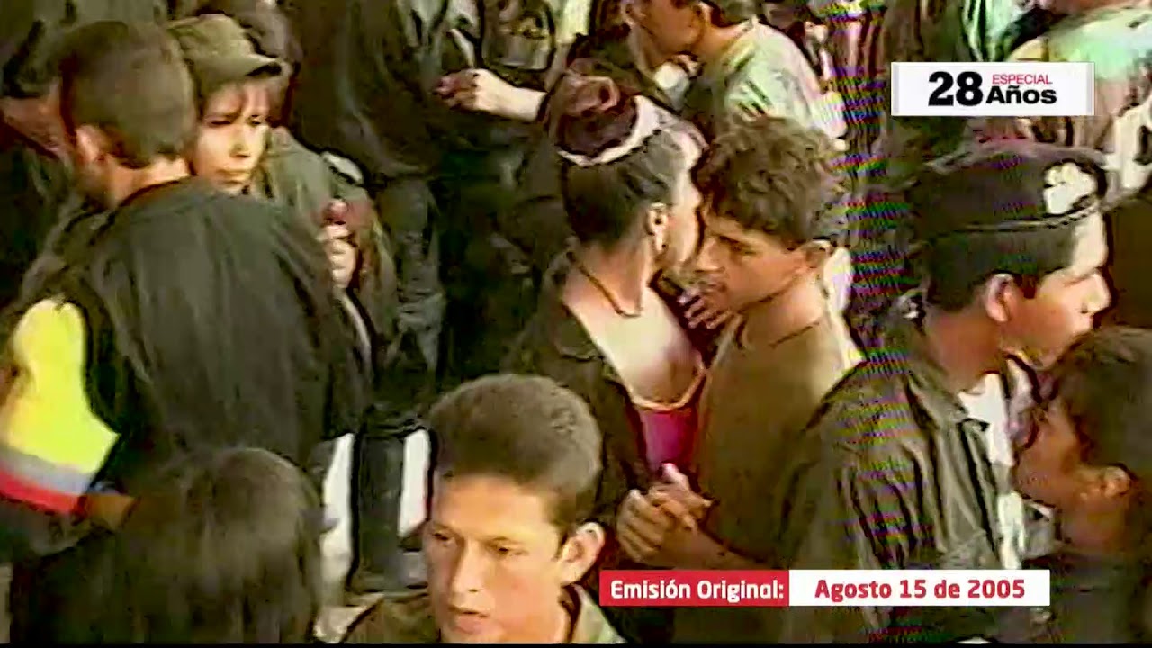 Con un video, Noticias Uno mostró vida diaria del Mono Jojoy