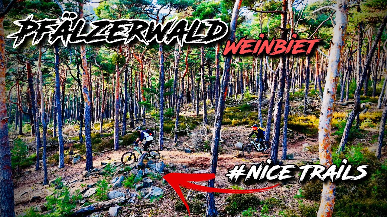 Pfälzerwald MTB Weinbiet Trails Enduro Tour Pfalz DJI 4 Mini Pro