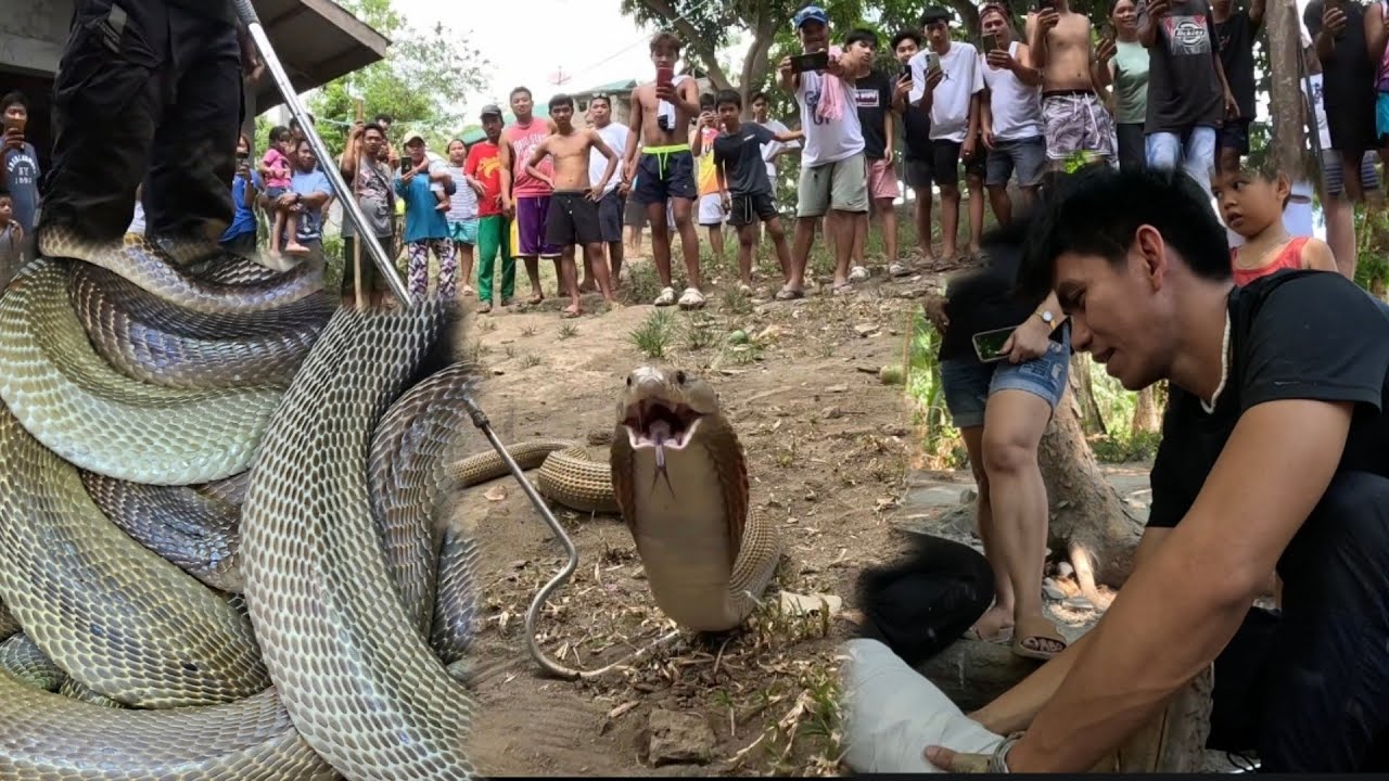 APAT ANG NAHULI SA LOOB NG KWARTO ISANG KASAMA ANG NATUKLAW