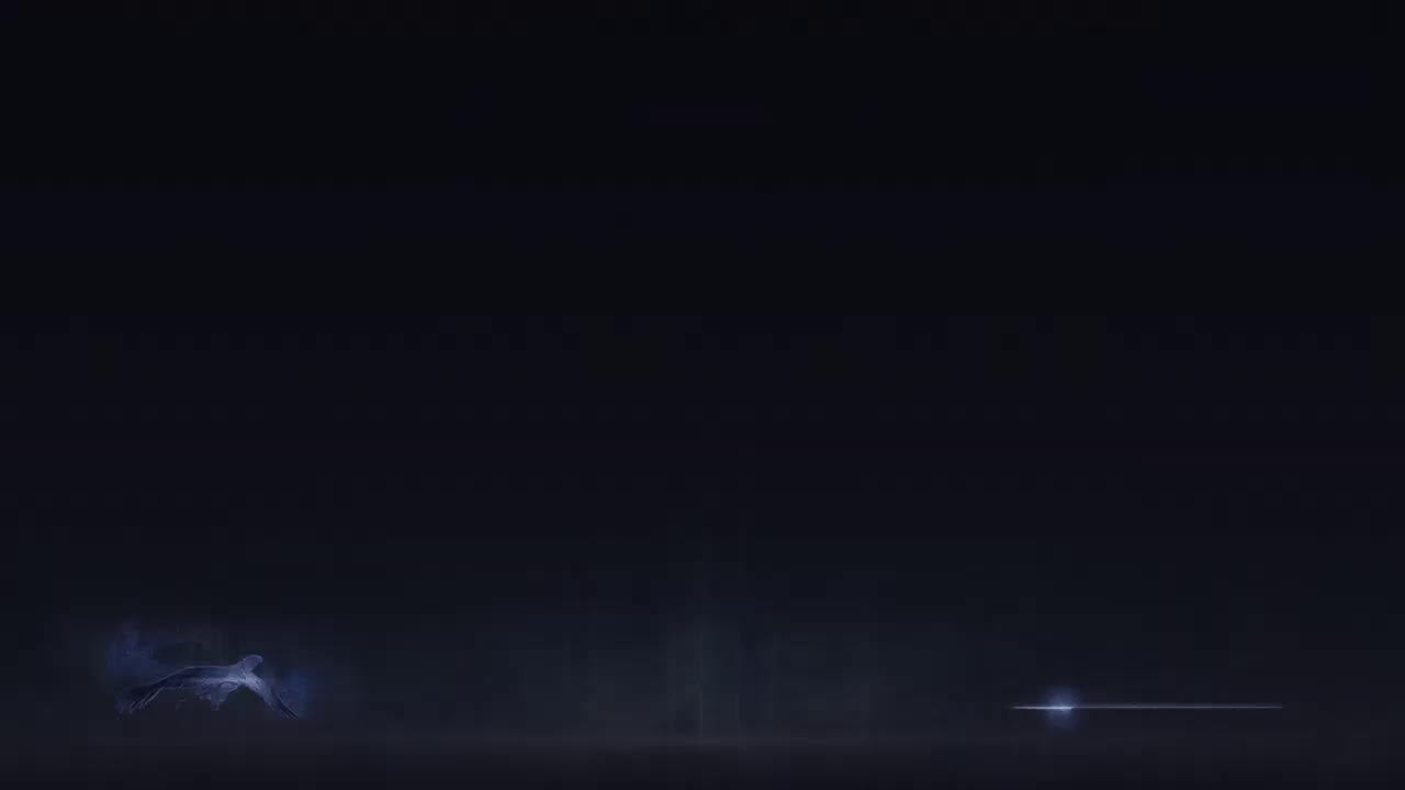 エルデンリング　ナイトレイン　 深き夜　PS4野良