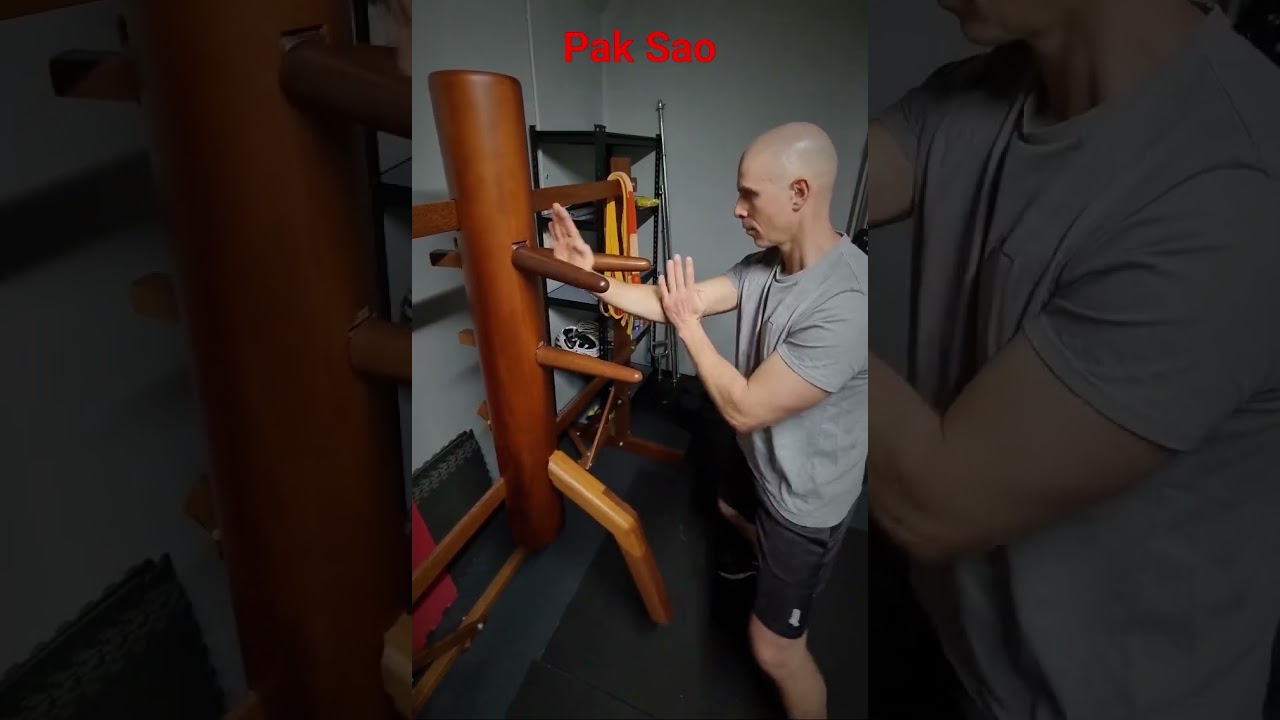 Pak Sao blocking technique #wingchundummy #wingchun