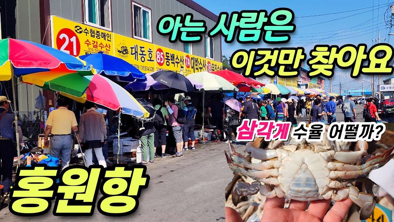 👍지금까지 가을엔 숫꽃게만 드셨나요? 삼각게 한번 드셔보시면 깜짝 놀랄겁니다! 지금 홍원항의 모습도 구석구석 담아봤어요~