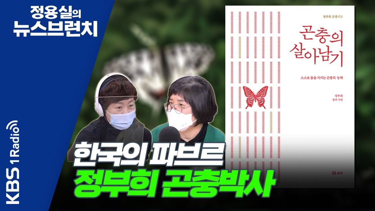 [정용실의 뉴스브런치] 누구나 쉽게 이해할수 있는 언어로 곤충의 삶에 대해 얘기해주는 한국의 파브르 정부희 곤충박사 ｜KBS 220225 방송