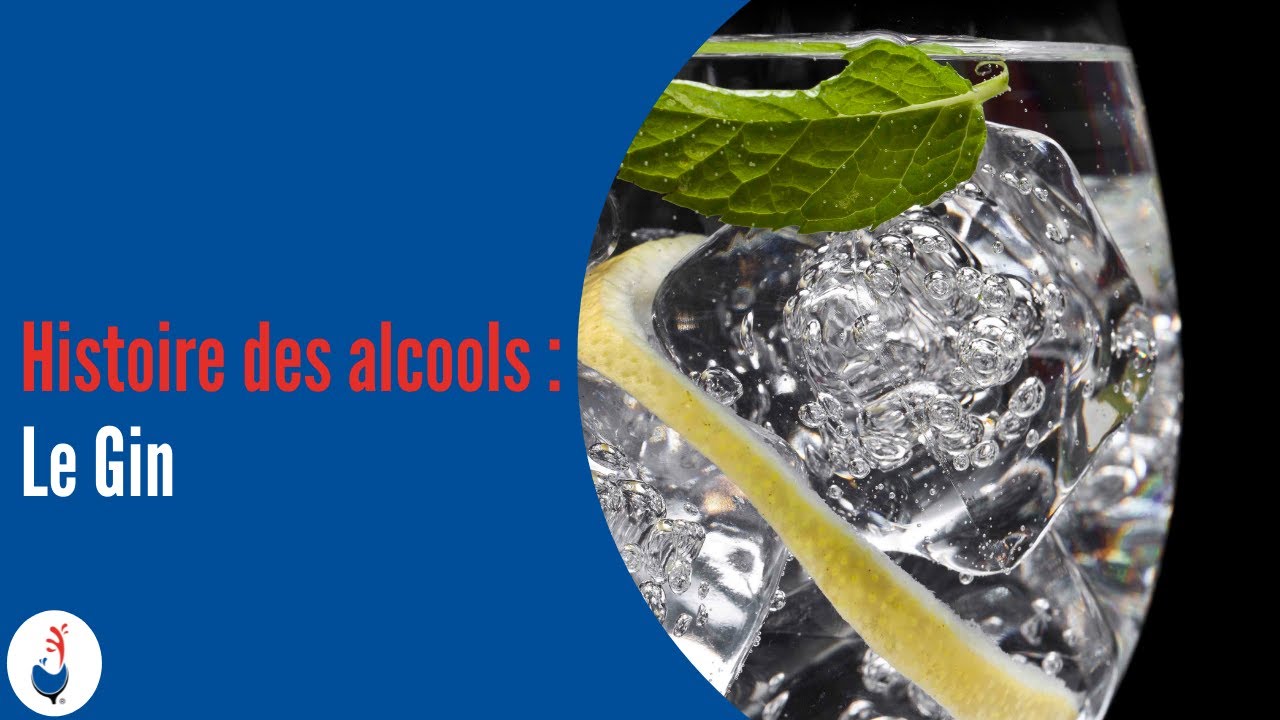 Histoire des Alcools : Le Gin 🍹