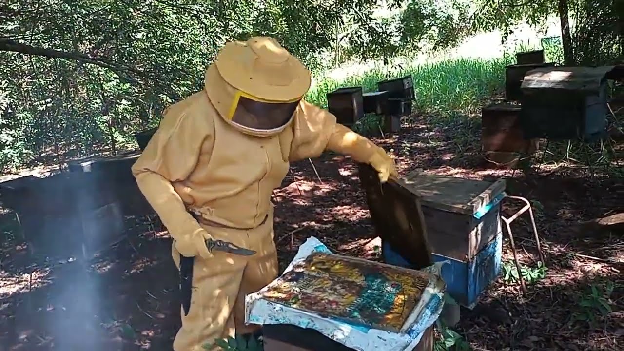 MANEJO OBRIGATÓRIO NAS COLMÉIAS A CADA 15 DIAS