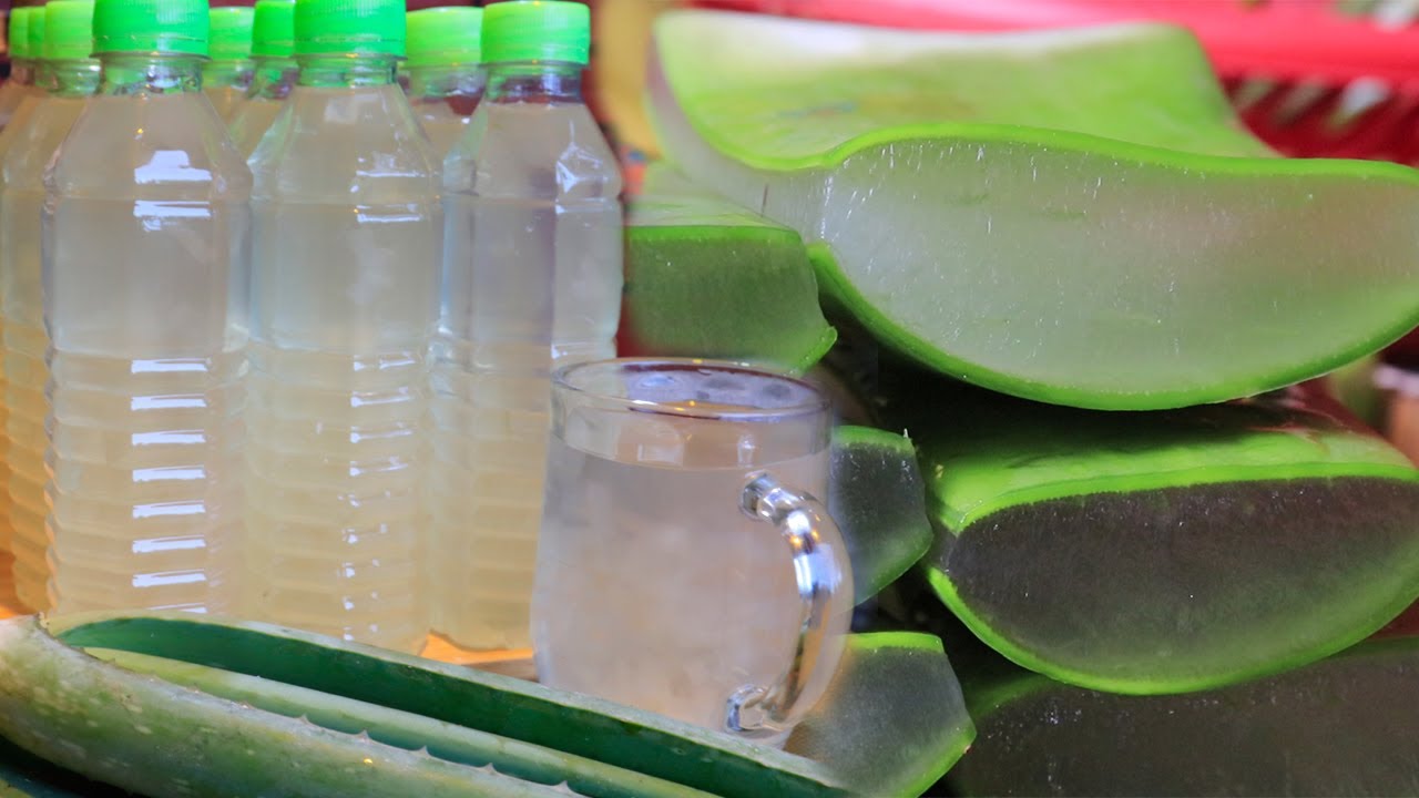 របៀបធ្វើទឹកប្រទាលកន្ទុយក្រពើ - Aloe Vera Juice | Samphos Cooking Food