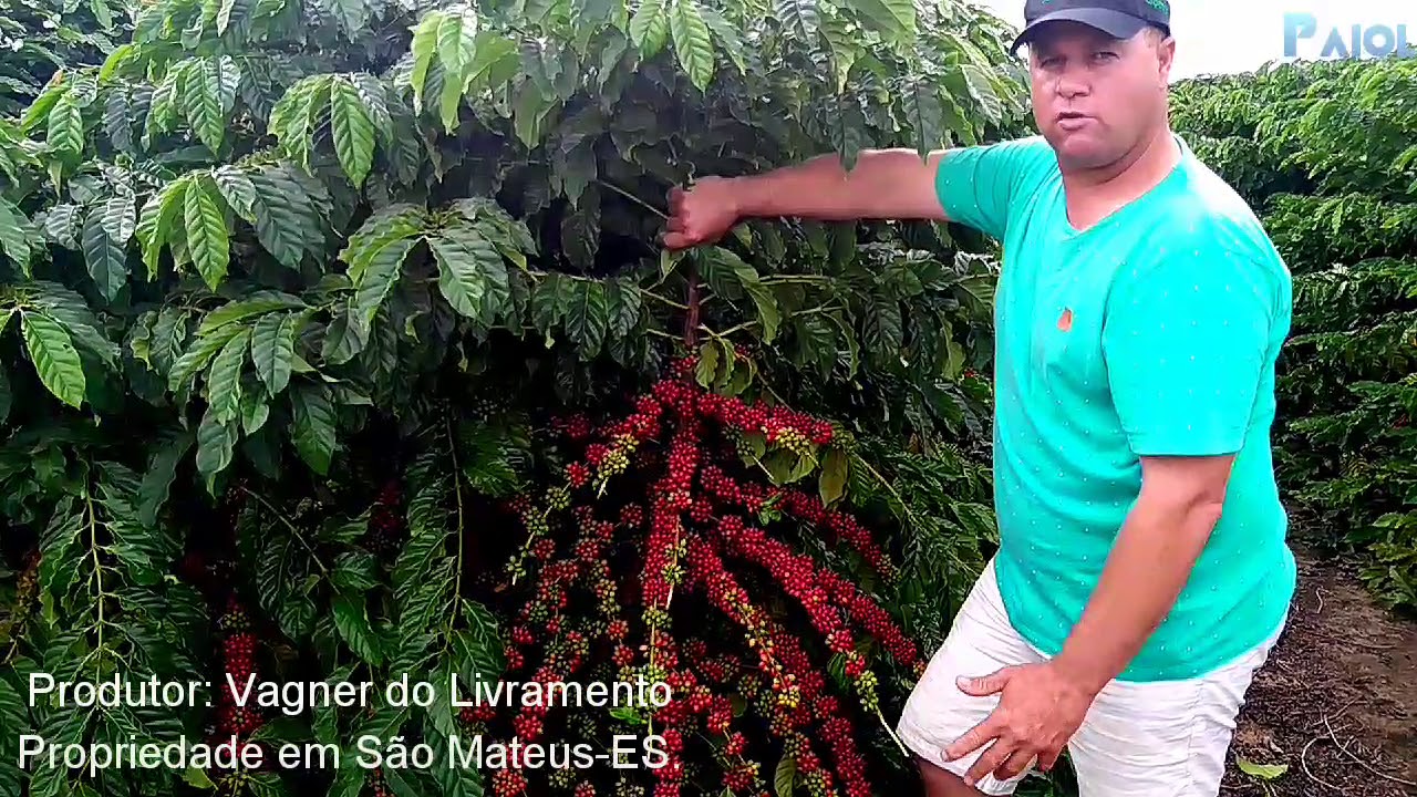 Depoimento do produtor Vagner do Livramento sobre a utilização dos Adubos Yara.