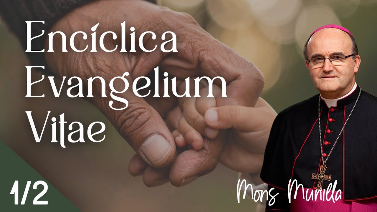 (1/2) Enc&iacute;clica Evangelium Vitae (A los 30 a&ntilde;os)