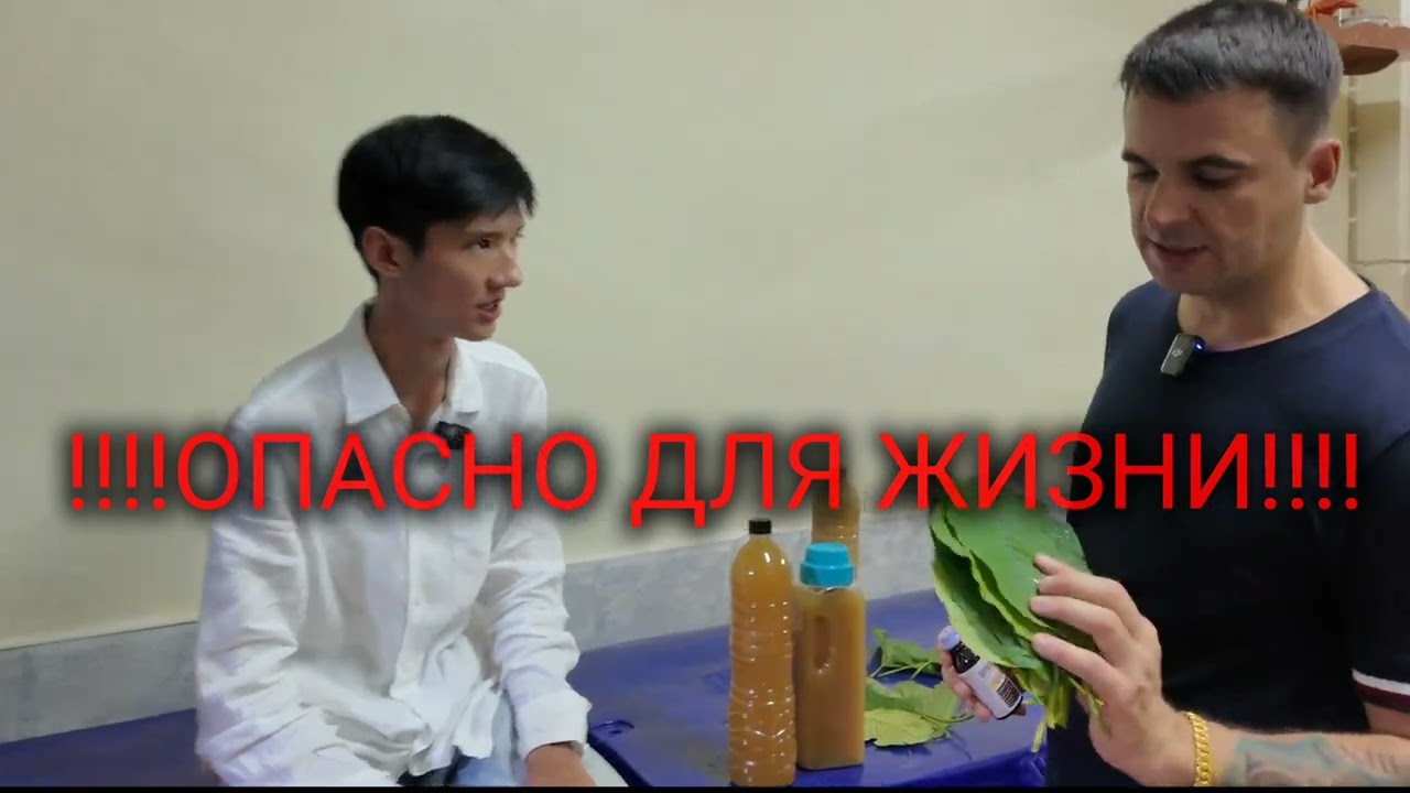 Секретный чай из Таиланда, который вас шокирует. Кратом.