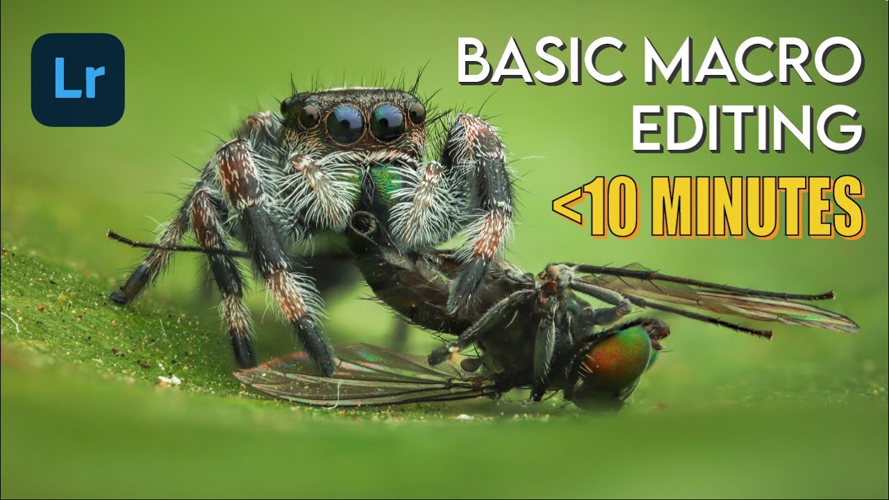 Learn BASIC MACRO Photo Editing in LESS than 10 MINUTES [Lightroom Mobile]