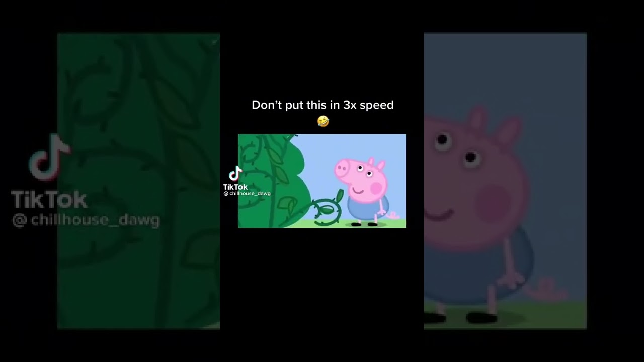 Don&rsquo;t put this in 3x speed