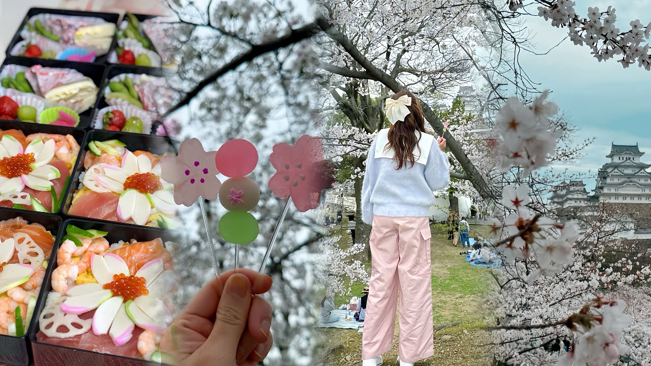 Hanami Bento | Cherry Blossom Viewing @ Himeji Castle Park| Picnic Under Sakura Tree|Japanese Sweets