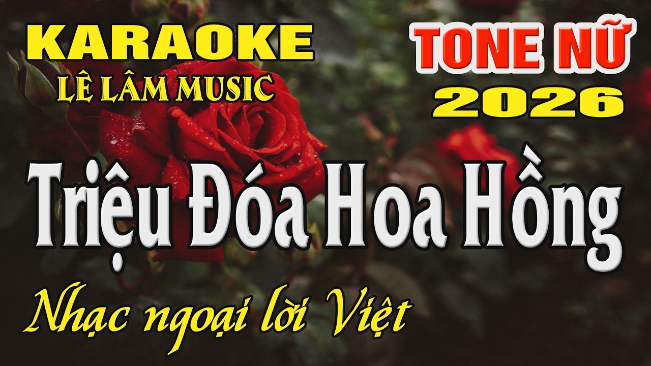Karaoke Triệu Đóa Hoa Hồng Tone Nữ ( Dm ) Karaoke Lê Lâm Music