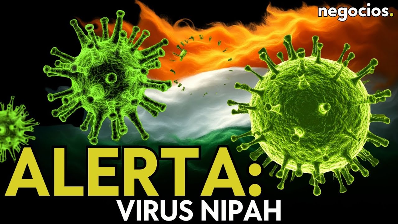 El virus silencioso que inquieta a Asia: Qué es el Nipah y por qué preocupa a India y sus vecinos